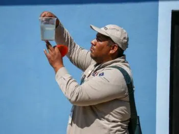 En Puebla, ingresan 19 personas a hospitalización por dengue en las últimas 24 horas: Salud