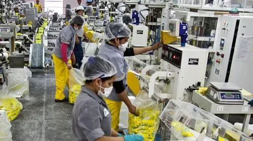 Ayuntamiento invita a participar en actividades para la creación y fortalecimiento de empresas