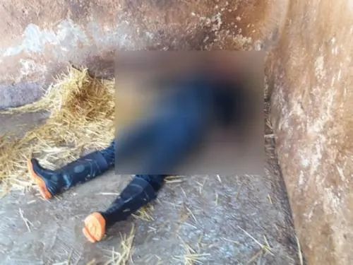En el zoológico de Tulancingo, león mata a trabajador