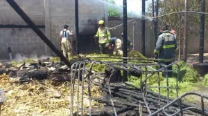 Bomberos sofocaron incendio de camioneta cargada con gasolina