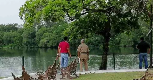 Cercarán lagunas en Tampico, tras ataque de cocodrilos