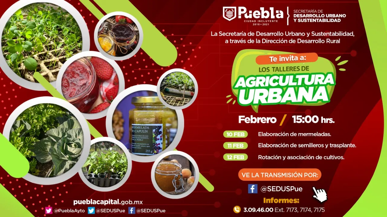 Ayuntamiento de Puebla impulsa la agricultura urbana con talleres virtuales 