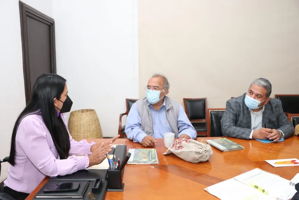 Registrará SDR nueva variedad de crisantemo para productores poblanos