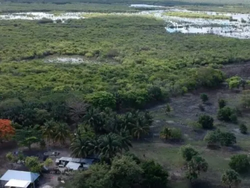 Mantienen vigilancia por desbordamiento de río Champotón
