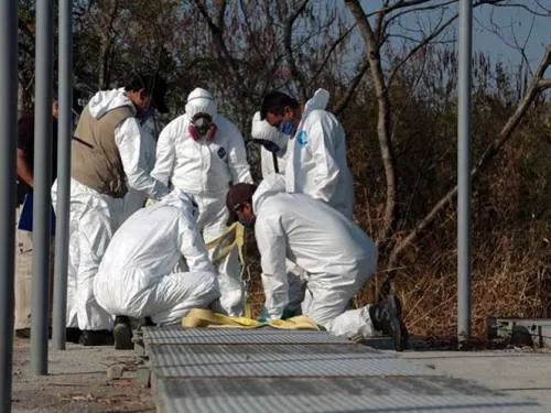 Se hallaron 47 cráneos en fosa clandestina de Alvarado: Fiscalía de Veracruz