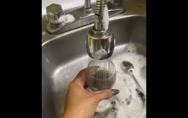 Guadalajara: Donde la billetera más grande define el derecho al agua