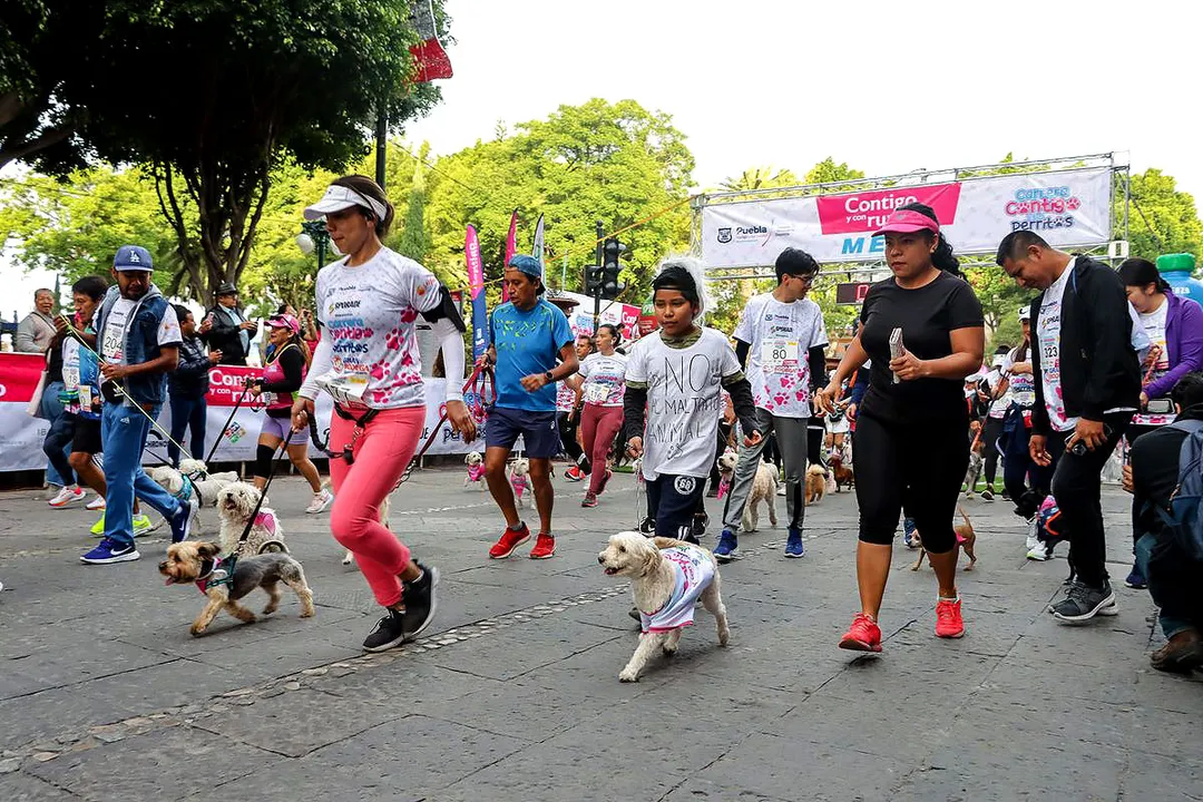 Carrera Contigo Y Tus Perritos