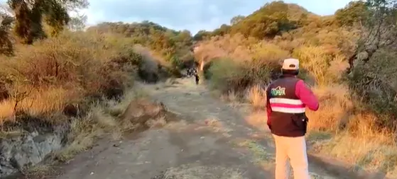 Reportan presunto puma libre en cerro de Tlaxcala