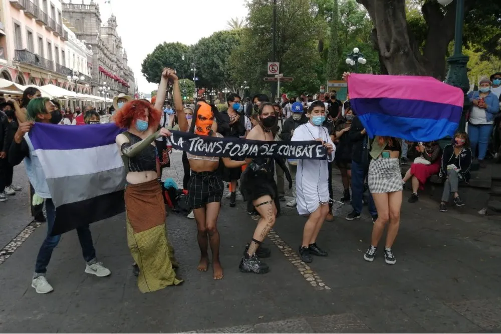 Manifestación trans