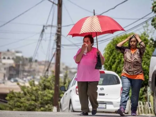Por ‘calor del demonio’ declaran emergencia en 5 municipios de BC