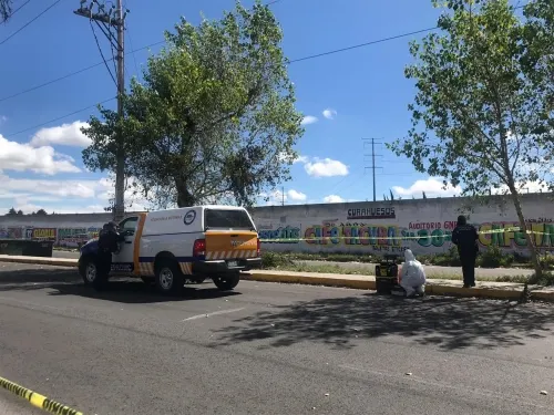 Dejan cadáver embolsado junto a Soriana de Bosques de San Sebastián