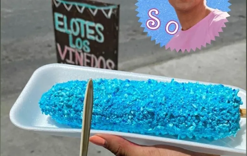 Crean los Barbielotes