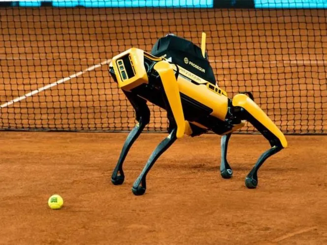 Perro robot vigilará el torneo de Madrid