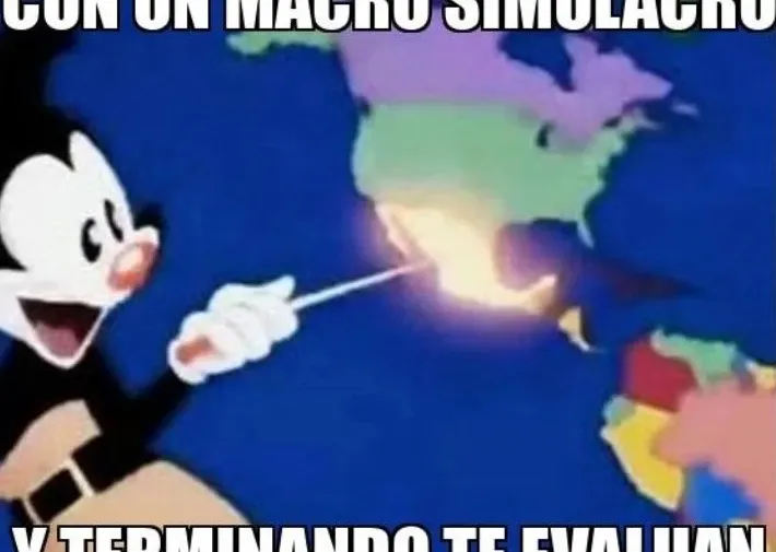 Imagen 7
