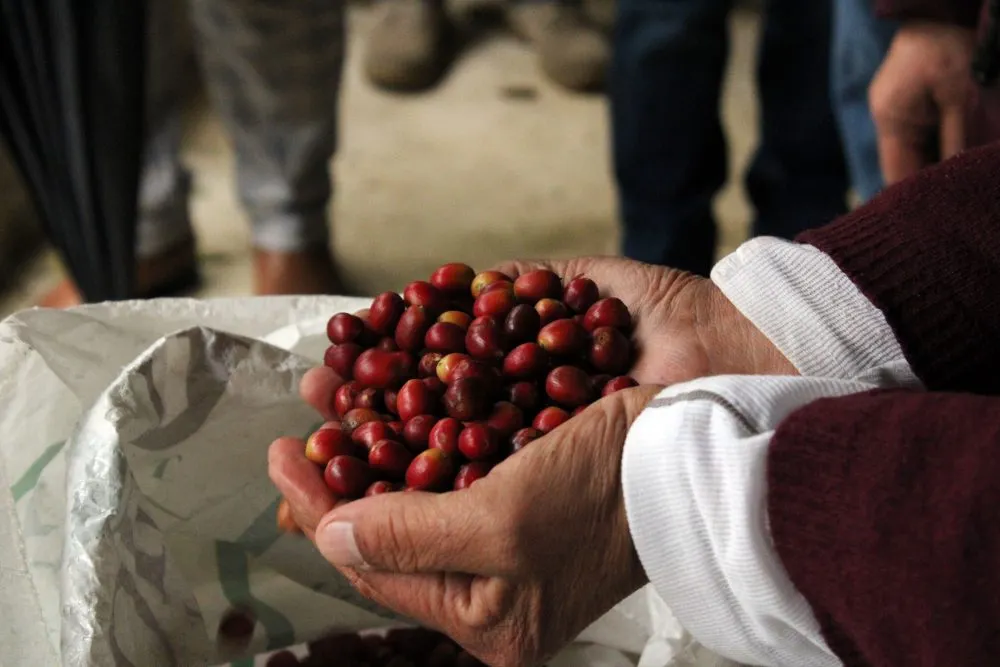 Abre gobierno ventanillas para seis programas de Recuperación del Campo Poblano