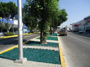 Ayuntamiento coloca mulch orgánico en camellones de la capital