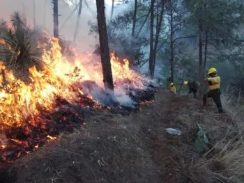 Detienen a dos presuntos ecocidas por incendios forestales en Puebla