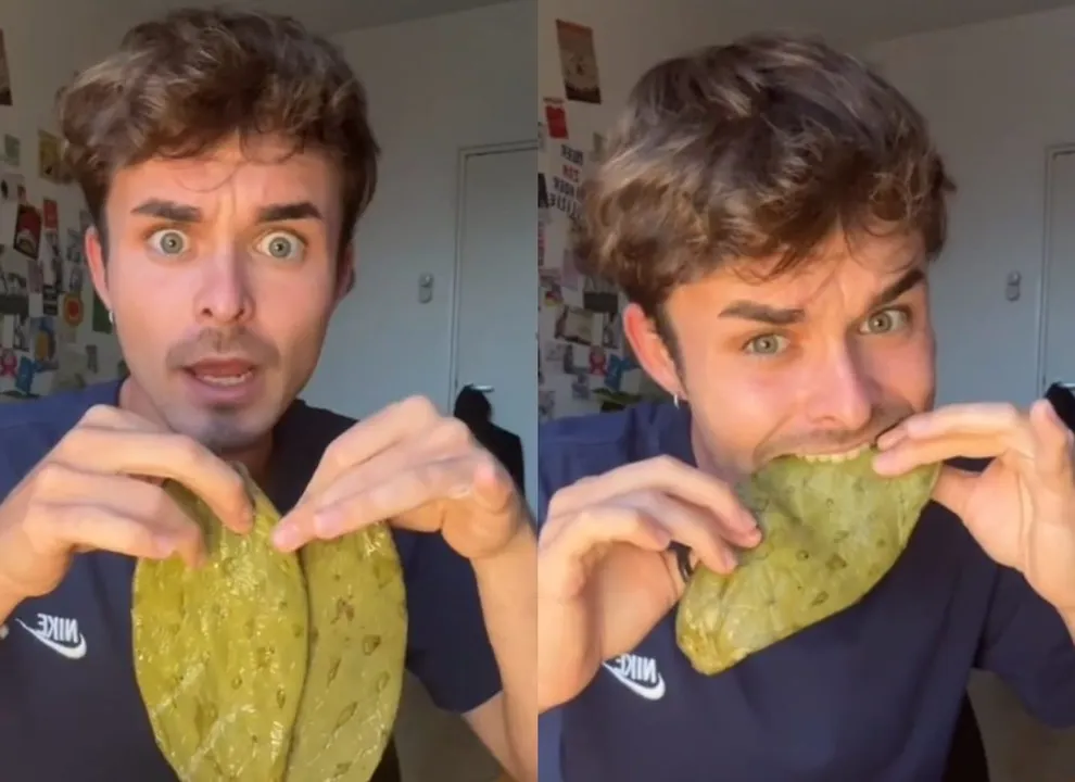 TikTok Nopales