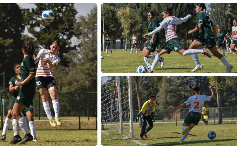 aztecas-udlap-conadeip
