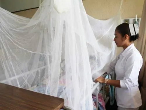 Dengue mata a niño en Oaxaca tras picadura de mosquito