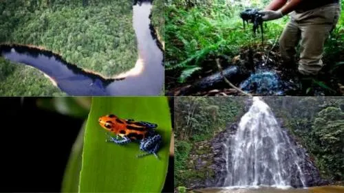 ¿Ahora sucumbió ecuador?
