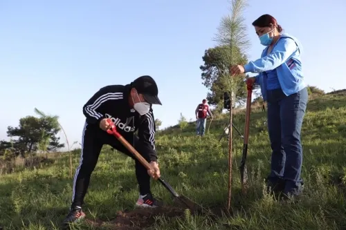 Reforesta gobierno de San Pedro Cholula el cerro Zapotecas