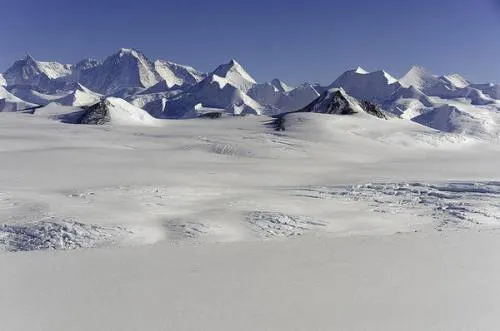 Descubren que hay un mundo escondido bajo el hielo de la Antártida