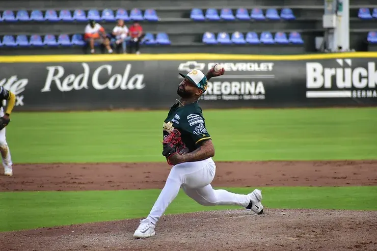 pericos-vladimir-gutierrez