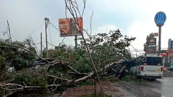 Ayuntamiento de Puebla investigará la caída de seis árboles en el bulevar Xonaca