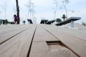 A la brevedad se repondrá madera dañada en ‘La Mantarraya’: Gali