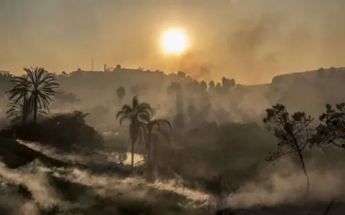 Por incendios forestales, declaran zona de desastre a Rosarito