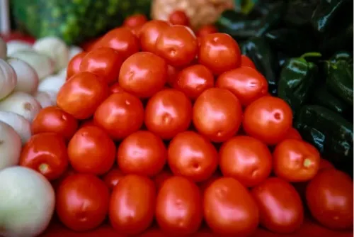 Tomate mexicano a la alza a nivel mundial