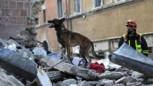 Video: Captan la destrucción causada por una réplica en Italia