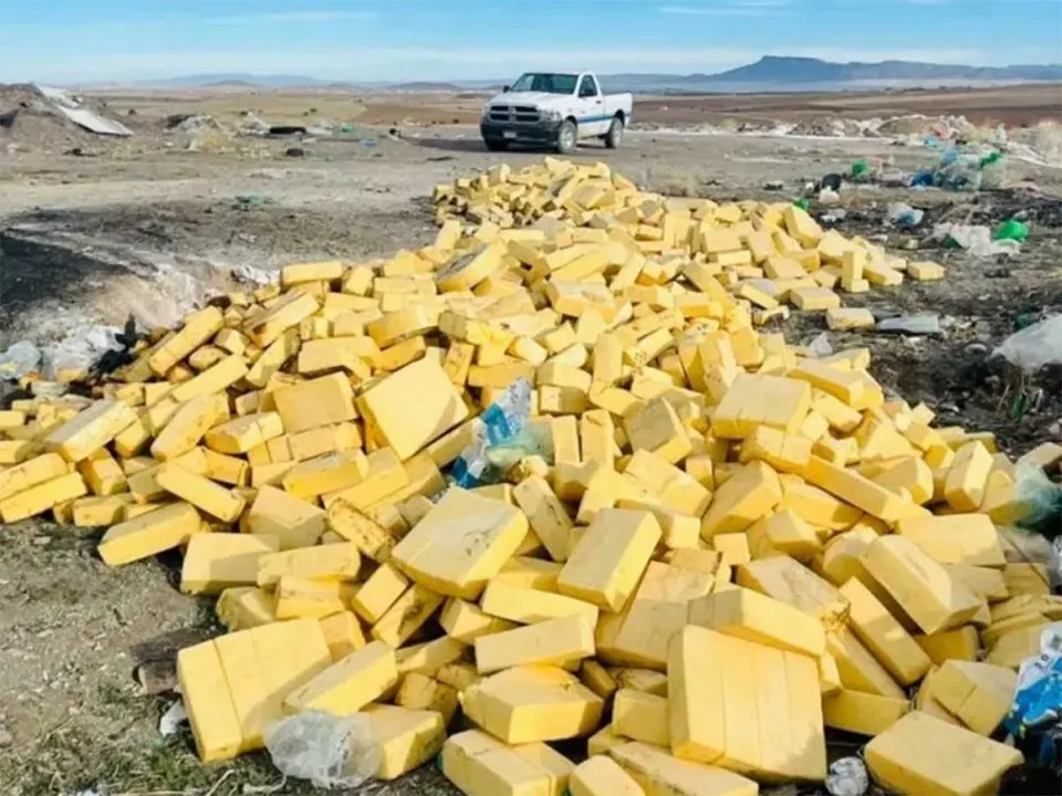 Detectan 10 toneladas de queso menonita contaminado en Chihuahua