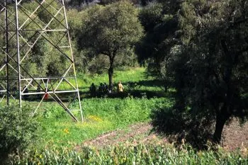 Fuga de gas LP en Huejotzingo está controlada y la autopista México-Puebla, reabierta: MBH