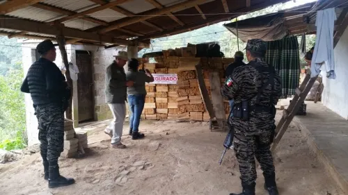 Clausura Profepa Centros de Almacenamiento y asegura madera en Zacapoaxtla