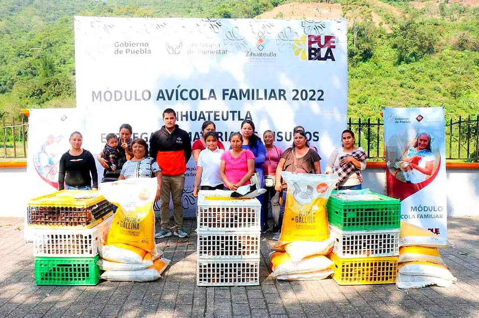 Bienestar Modulos Avicolas Zihuateutla