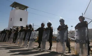 Encuentran drogas enterradas en San Miguel: Almeida
