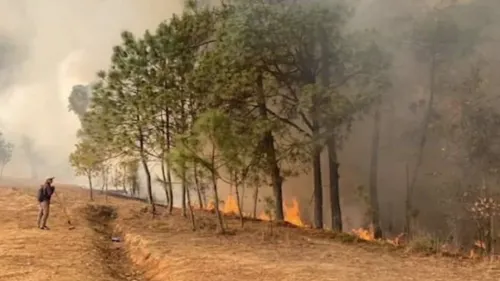 Mueren seis personas por incendio forestal en Oaxaca