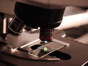 Estudiantes de Puebla van a programa de ciencia en Nueva York