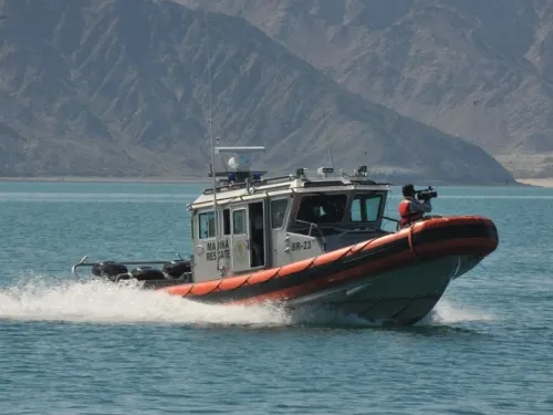 Van 198 recorridos de vigilancia para proteger hábitat de vaquita marina