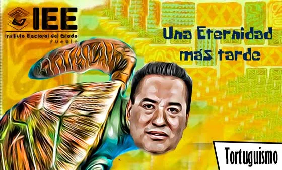Tortuguismo y negligencia electoral