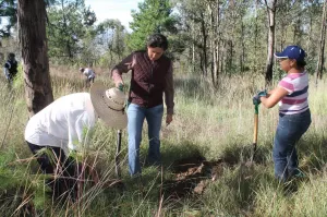 Reforestan estudiantes el cerro Zapotecas en Cholula