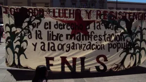 Por apoyar causas, integrantes del FNLS reciben amenazas