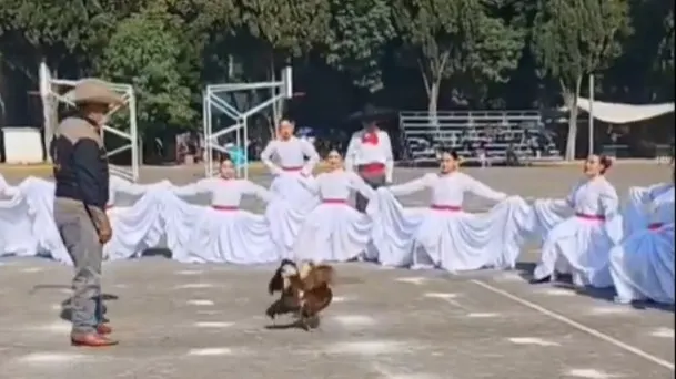 SEP desmiente que se realizara una pelea de gallos en el CENHCH durante un festival escolar