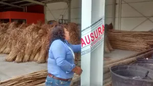 Clausura Profepa CAT madera en Atlixco