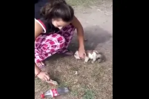 Es detenida, mujer que quemó a un gato en Aguascalientes