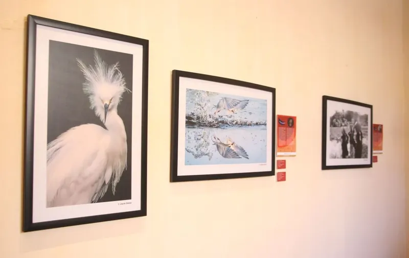 expo-f20-miradas-divergentes-museo-ferrocarriles