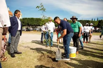 Realiza Ayuntamiento de San Andrés Cholula Jornada de Reforestación en Tlaxcalancingo
