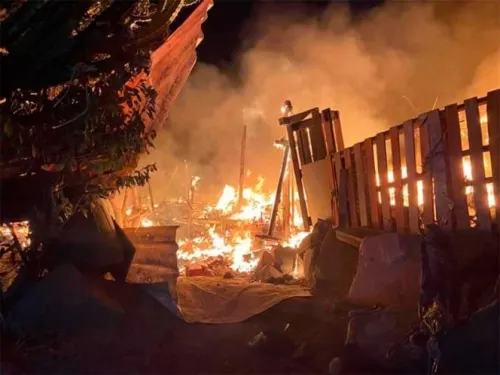 Arden 8 casas de cartón y lámina en Querétaro